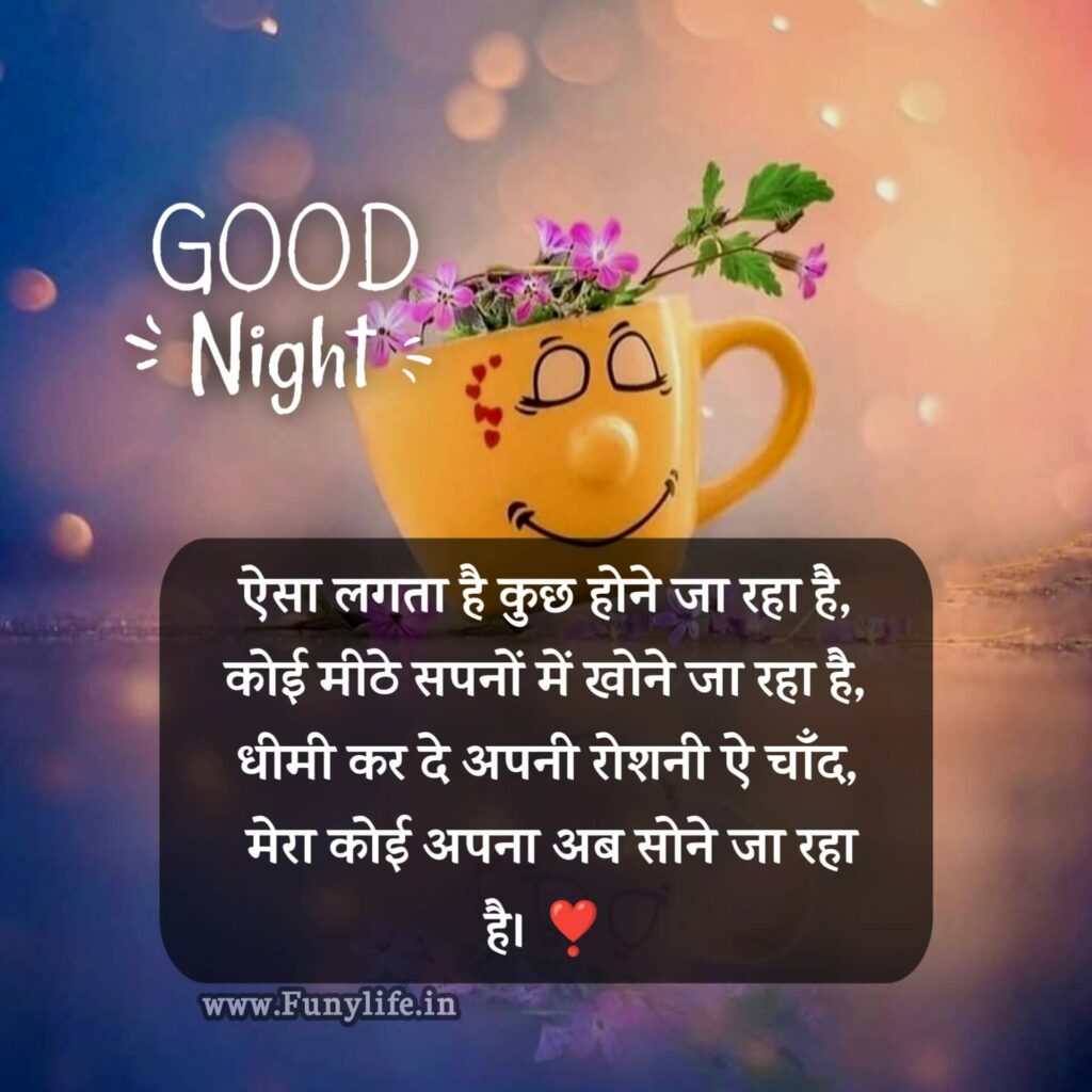 New Good Night Shayari Images