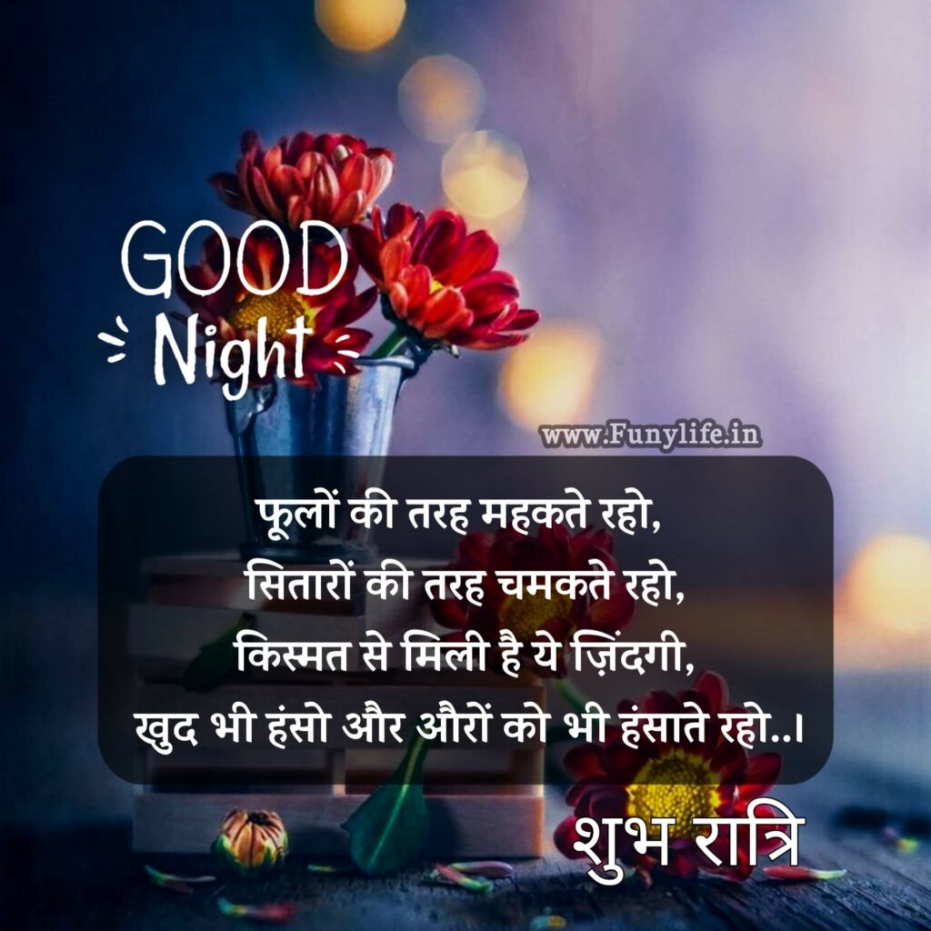 Good Night Shayari Love