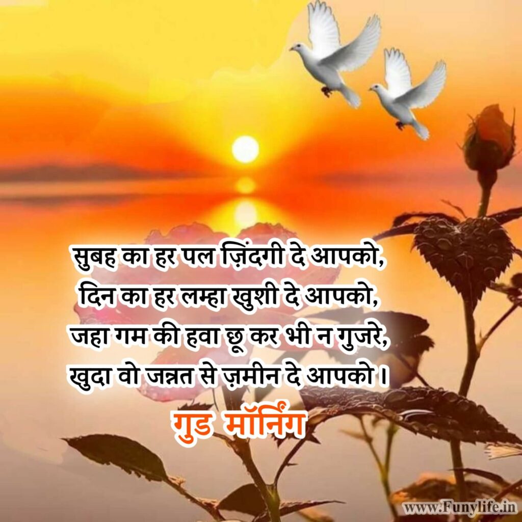 Good Morning Shayari