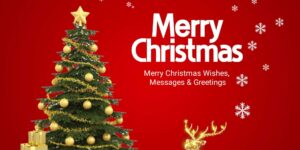 Read more about the article 500+ New Merry Christmas Wishes and Messages 2025