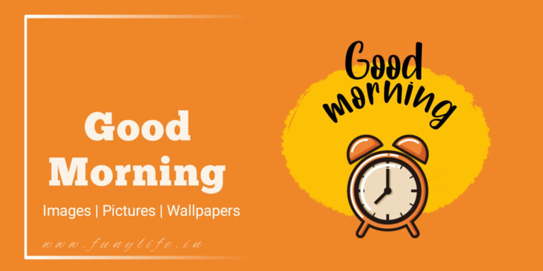 [1090+] Good Morning Images, Pics, Photos & Pictures (2025)