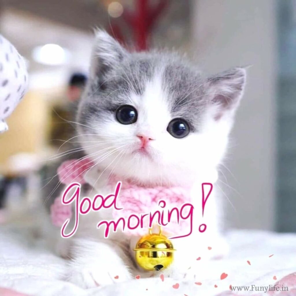 Cute Good Morning Images.