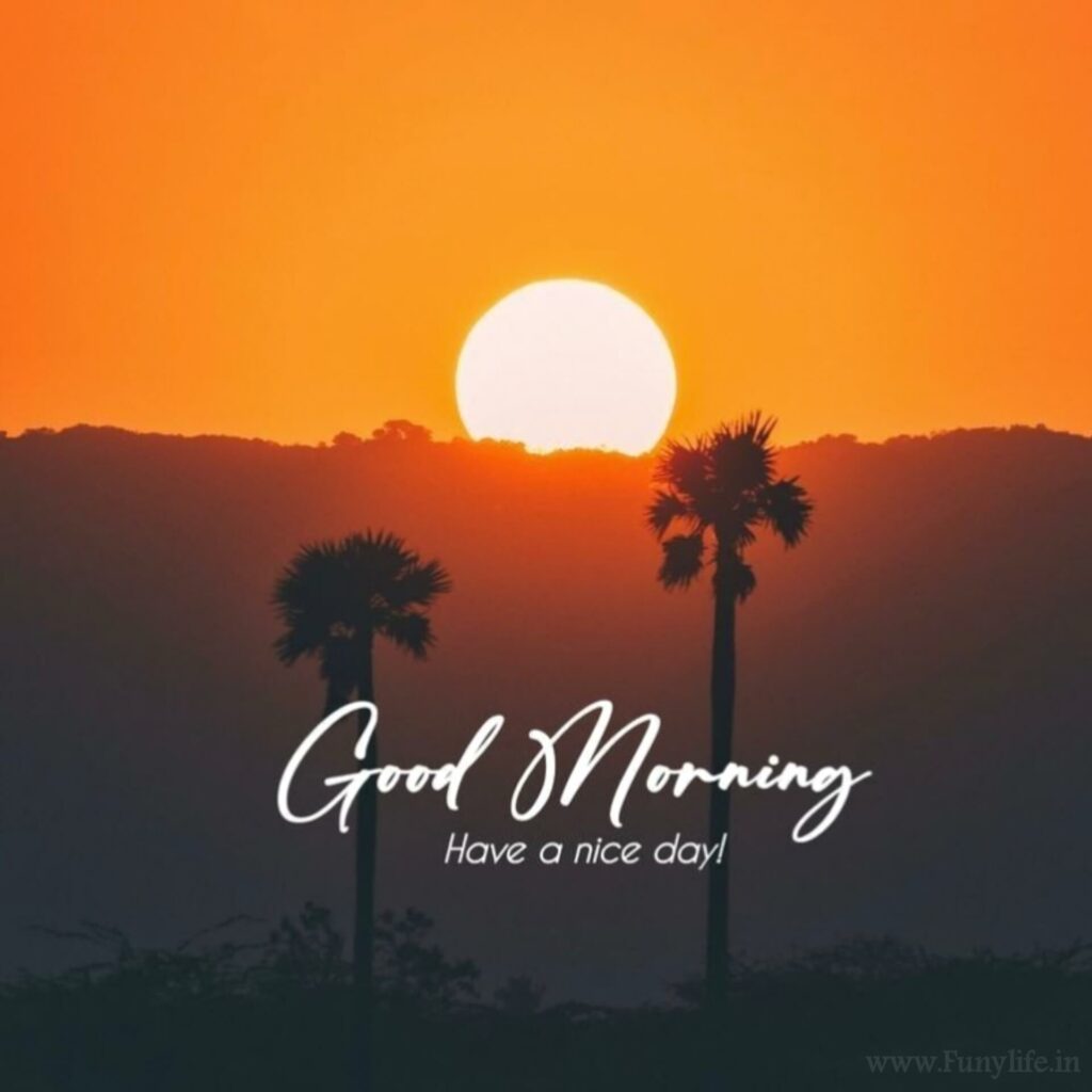 Good Morning Images with Quotes for Whatsapp