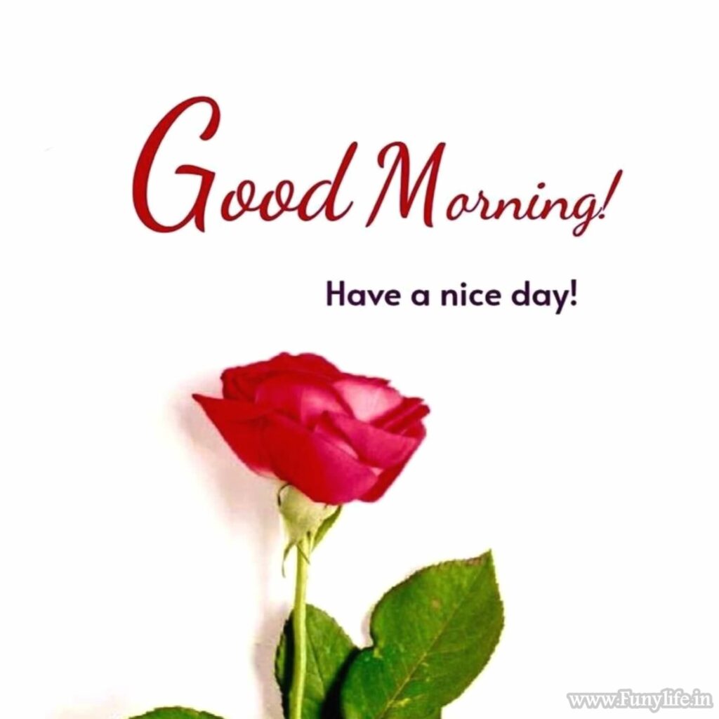 Good Morning Images with Quotes