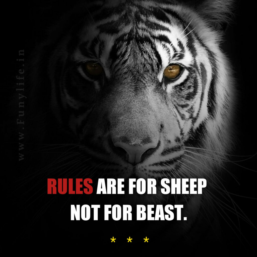 Attitude Quotes In English