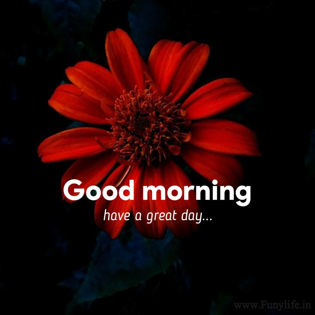 Cute Good Morning Images.