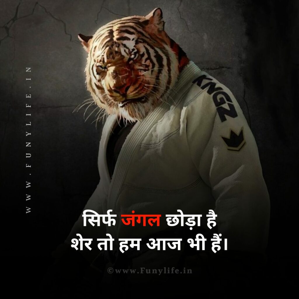 Attitude Status in Hindi 2023