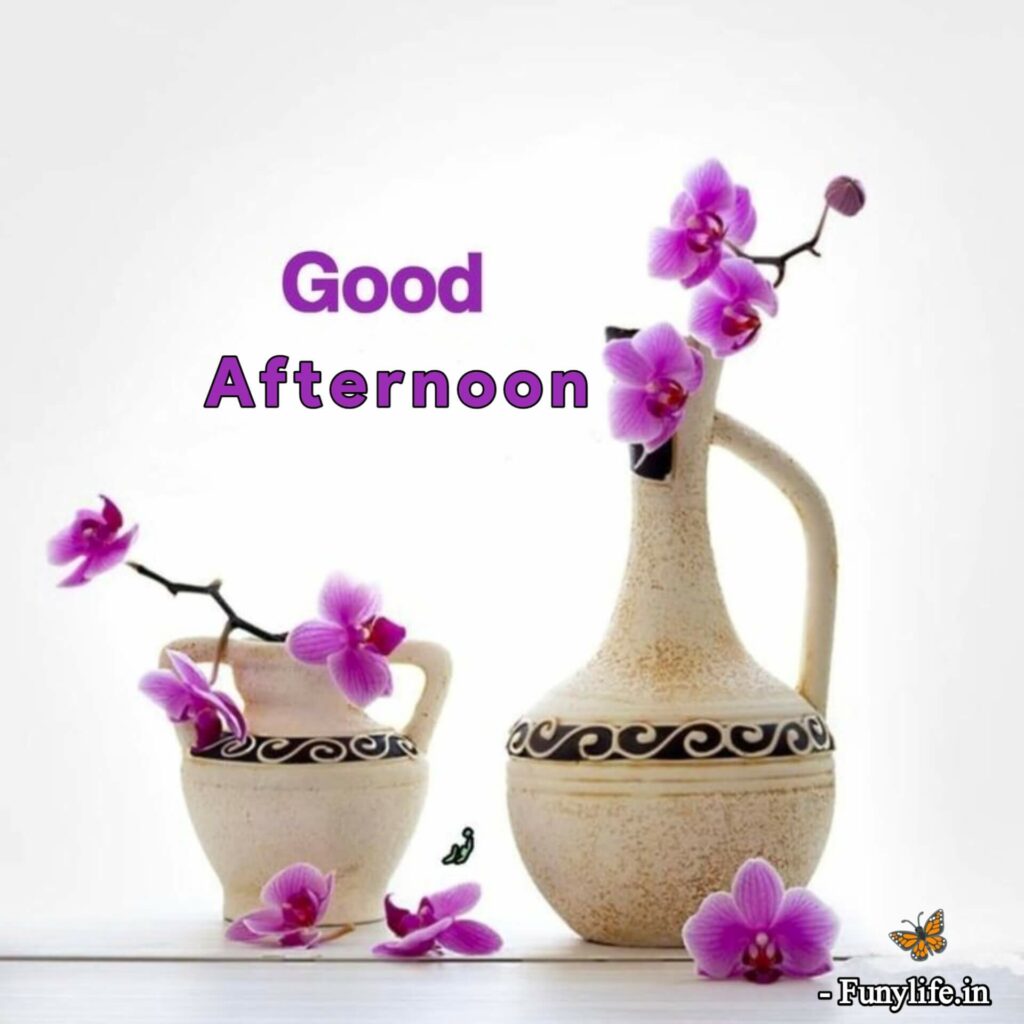 Beautiful Good Afternoon Images HD
