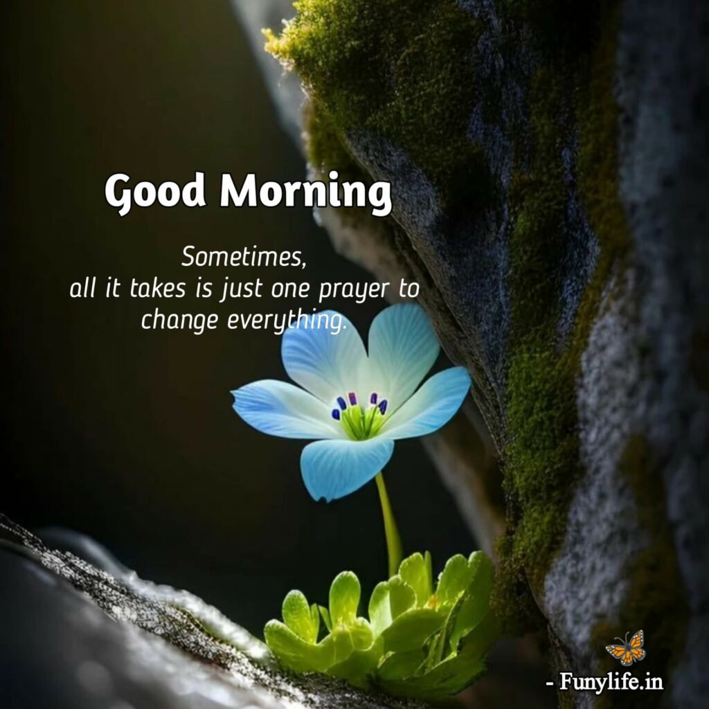 Beautiful Good Morning Quotes