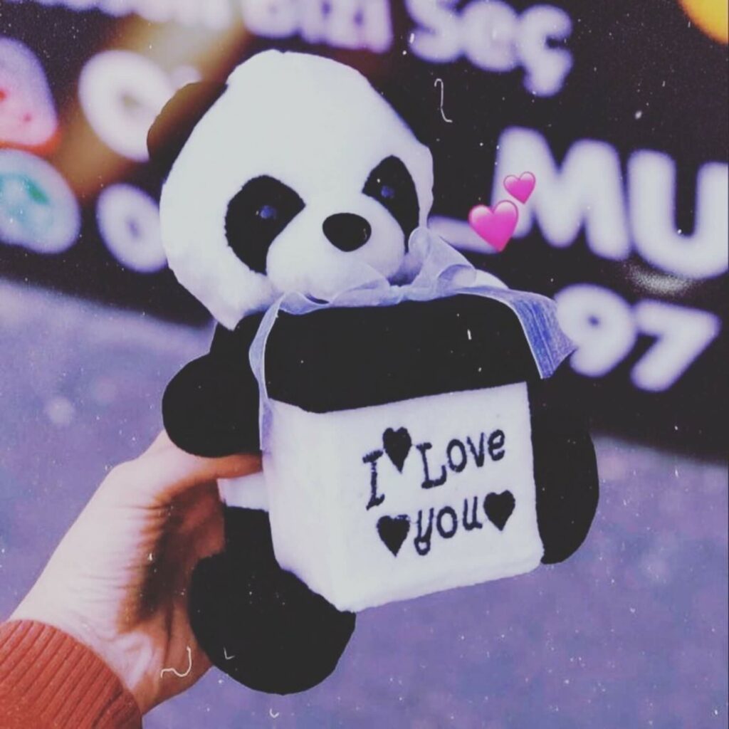 Long Distance Love DP

