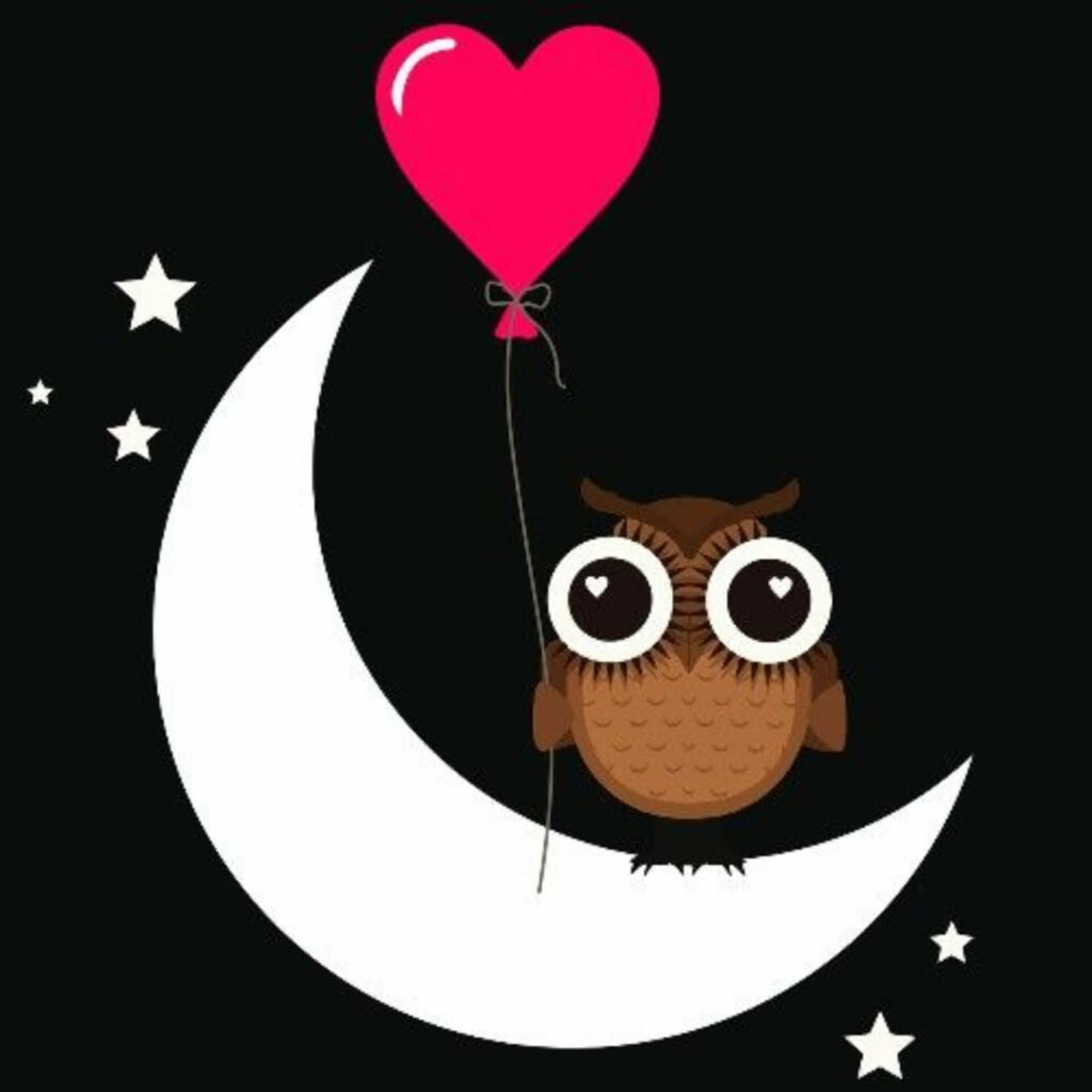 Romantic Night Love DP

