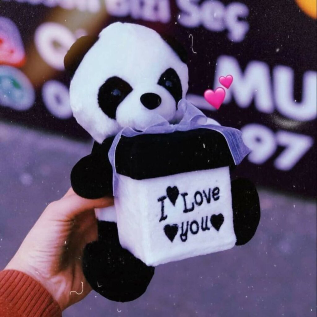 Cute DP for WhatsApp