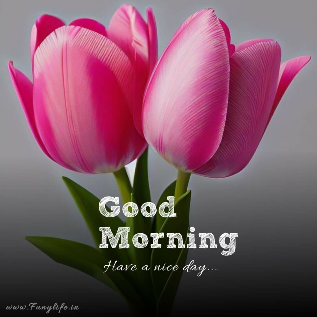 Fresh Good Morning Images