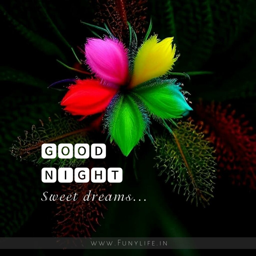 Beautiful Good Night Images