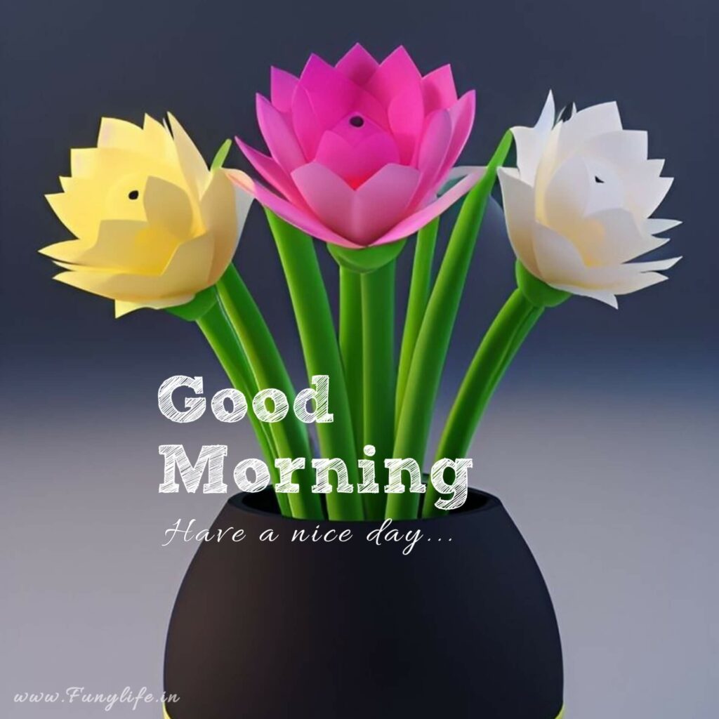 Best Good Morning Images 2023