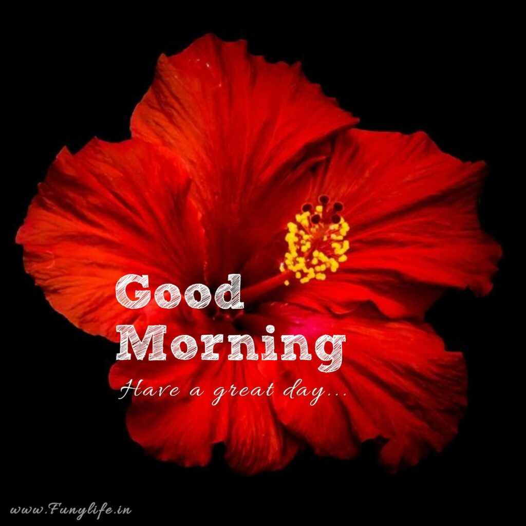 Best Good Morning Images