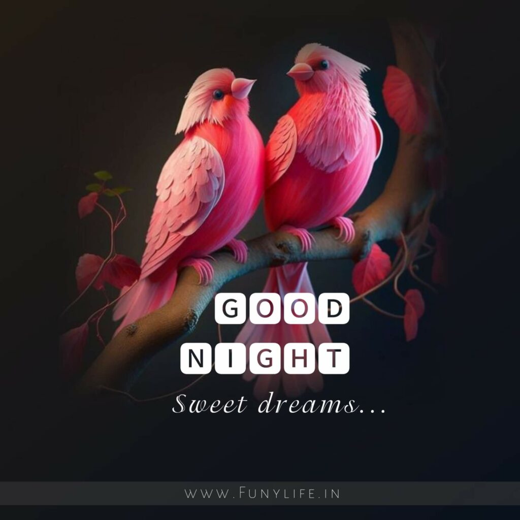 Latest Good Night Pictures