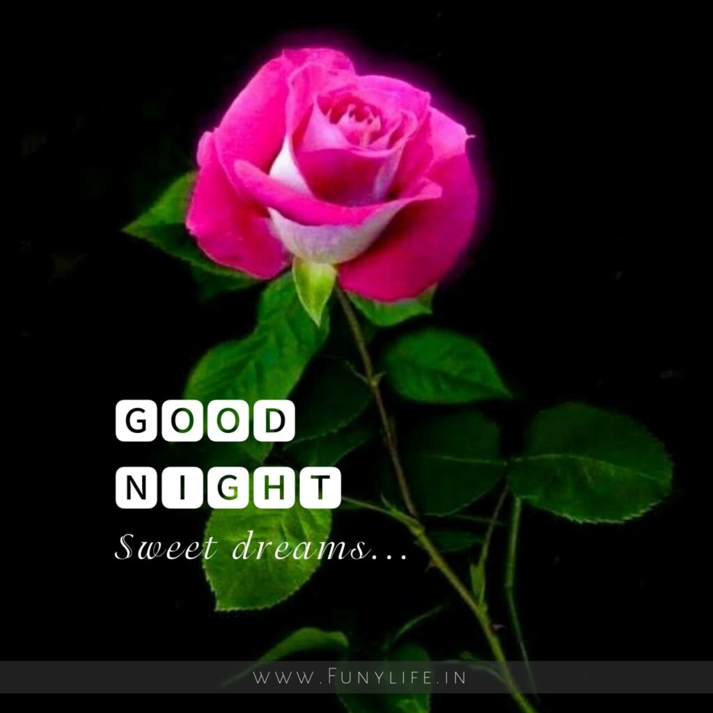Best Good Night Images