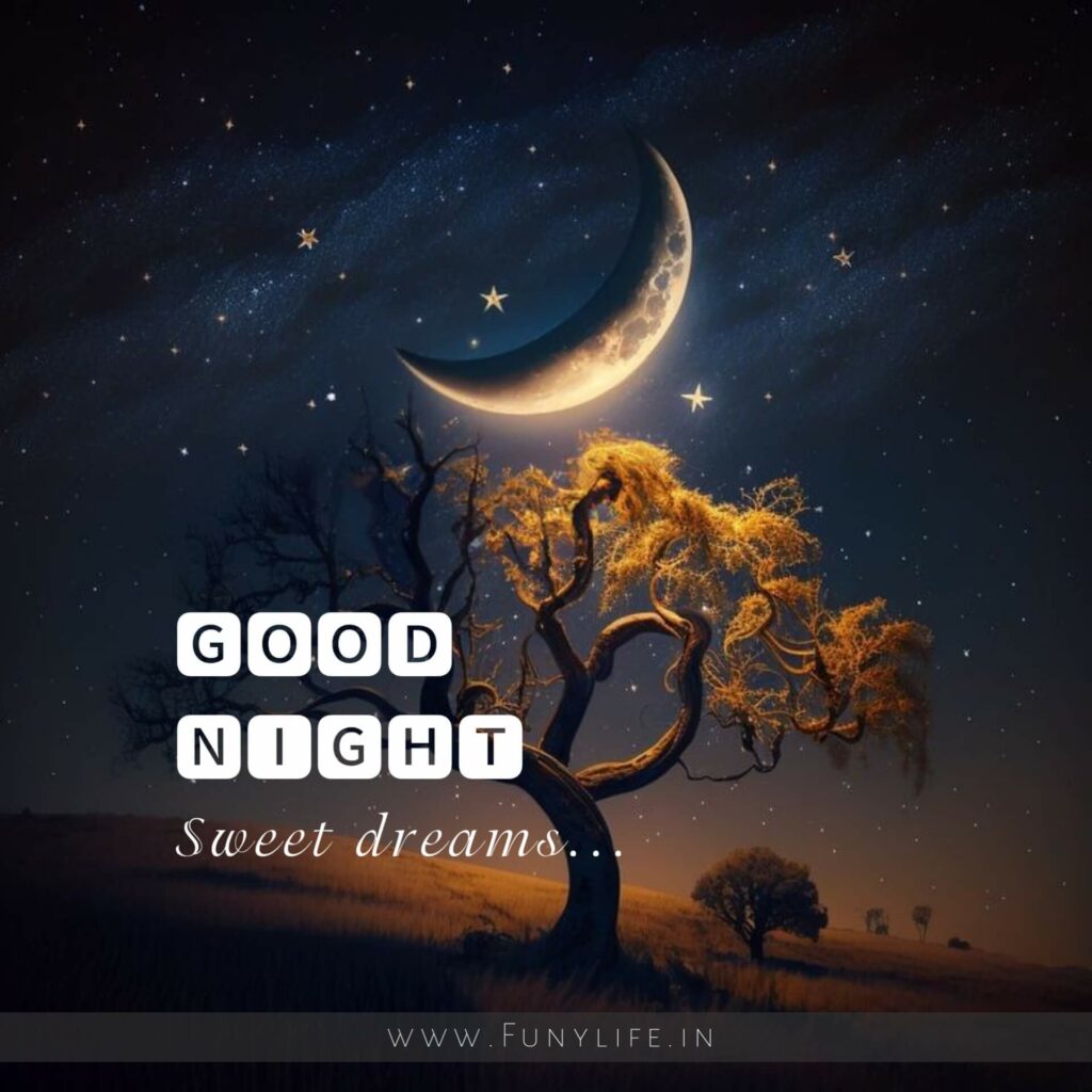 Best Good Night Images