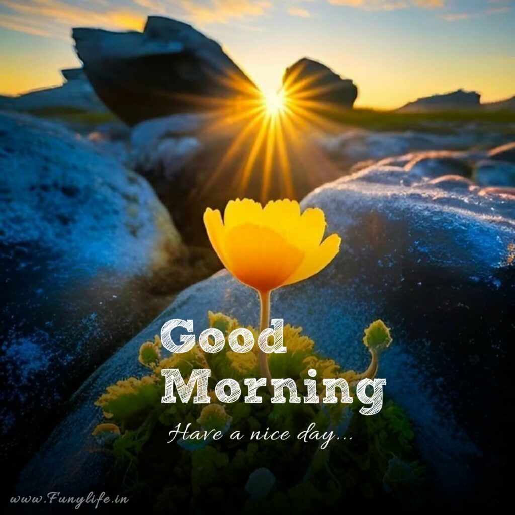 New Good Morning Images