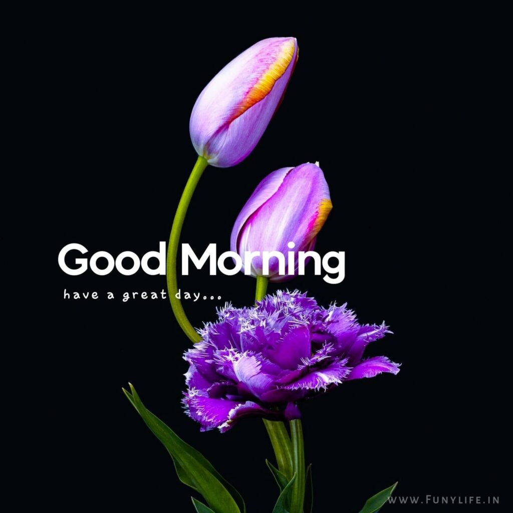 New Good Morning Images