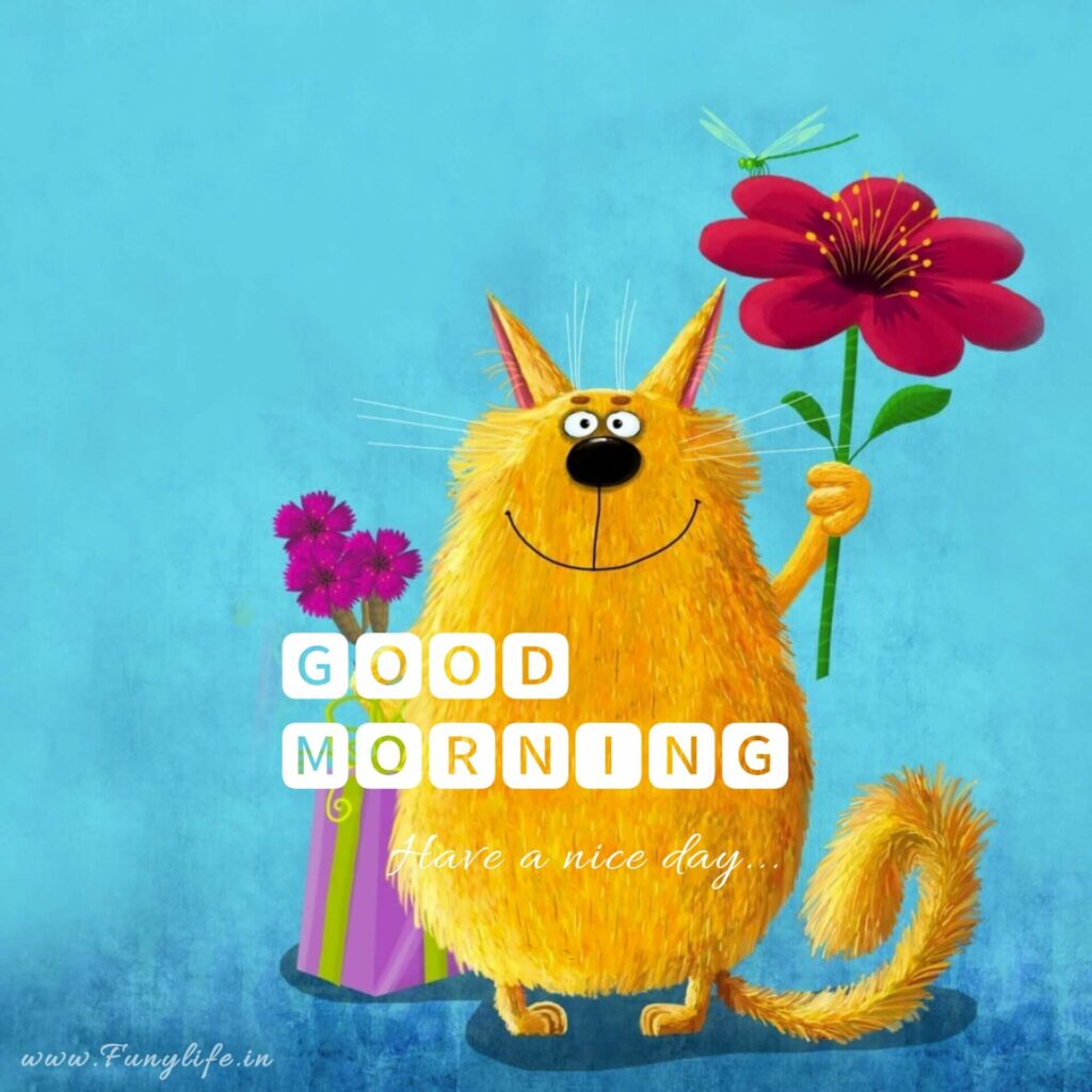 HD Good Morning Images