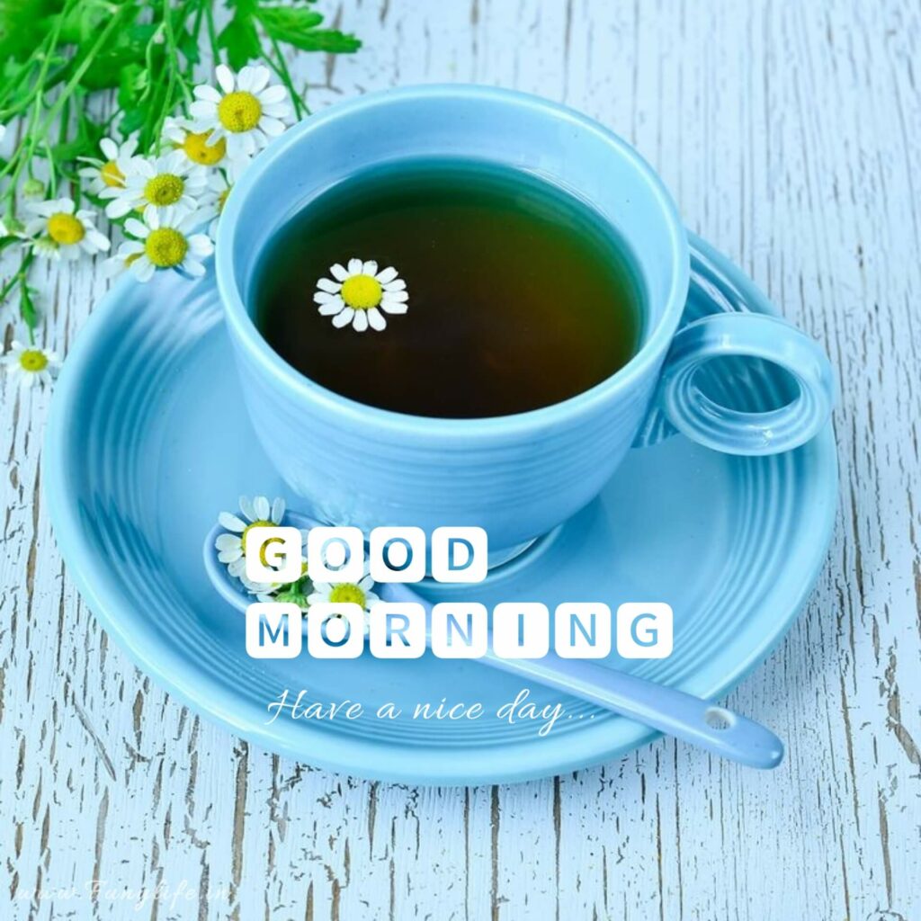 Fresh Good Morning Images