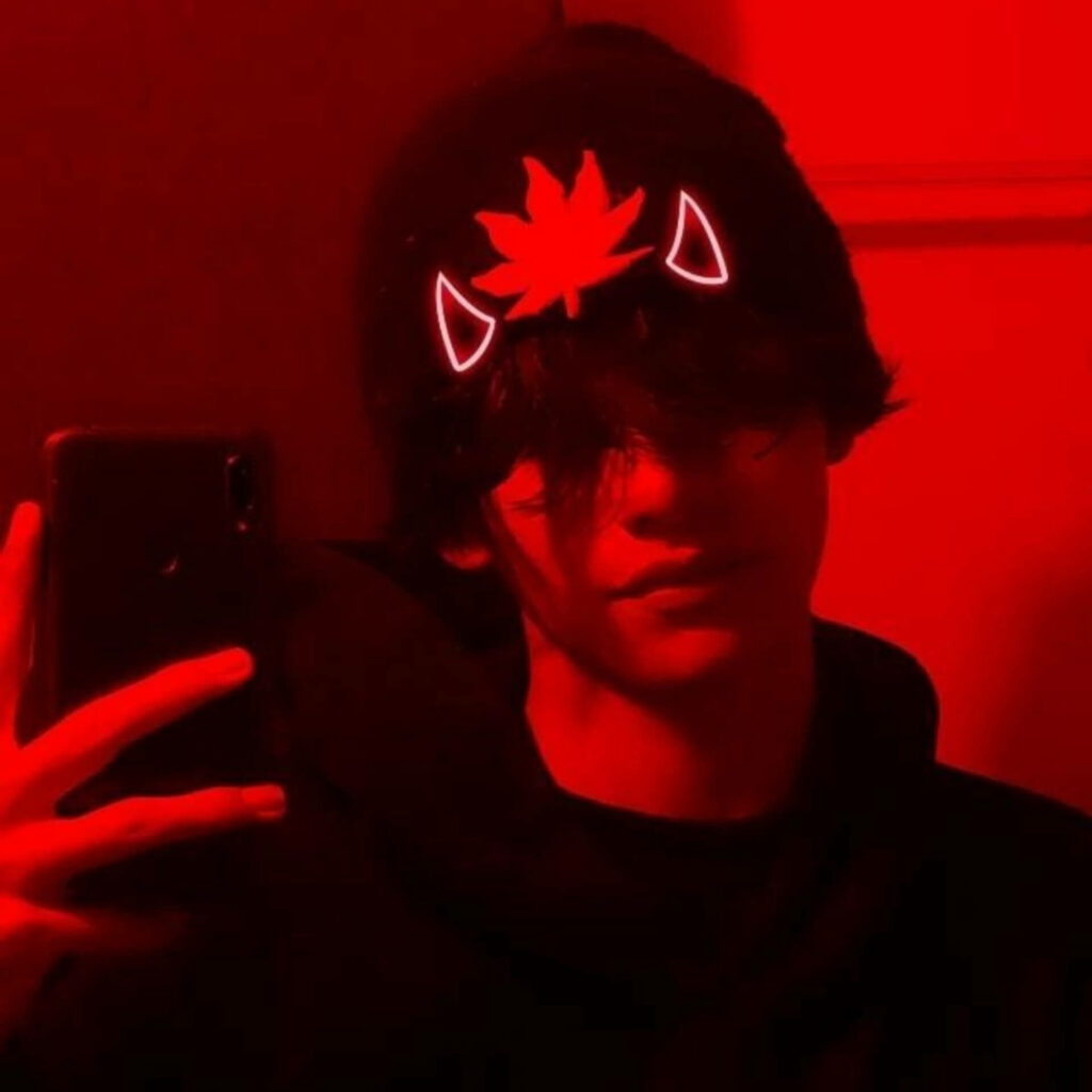 Instagram DP download
