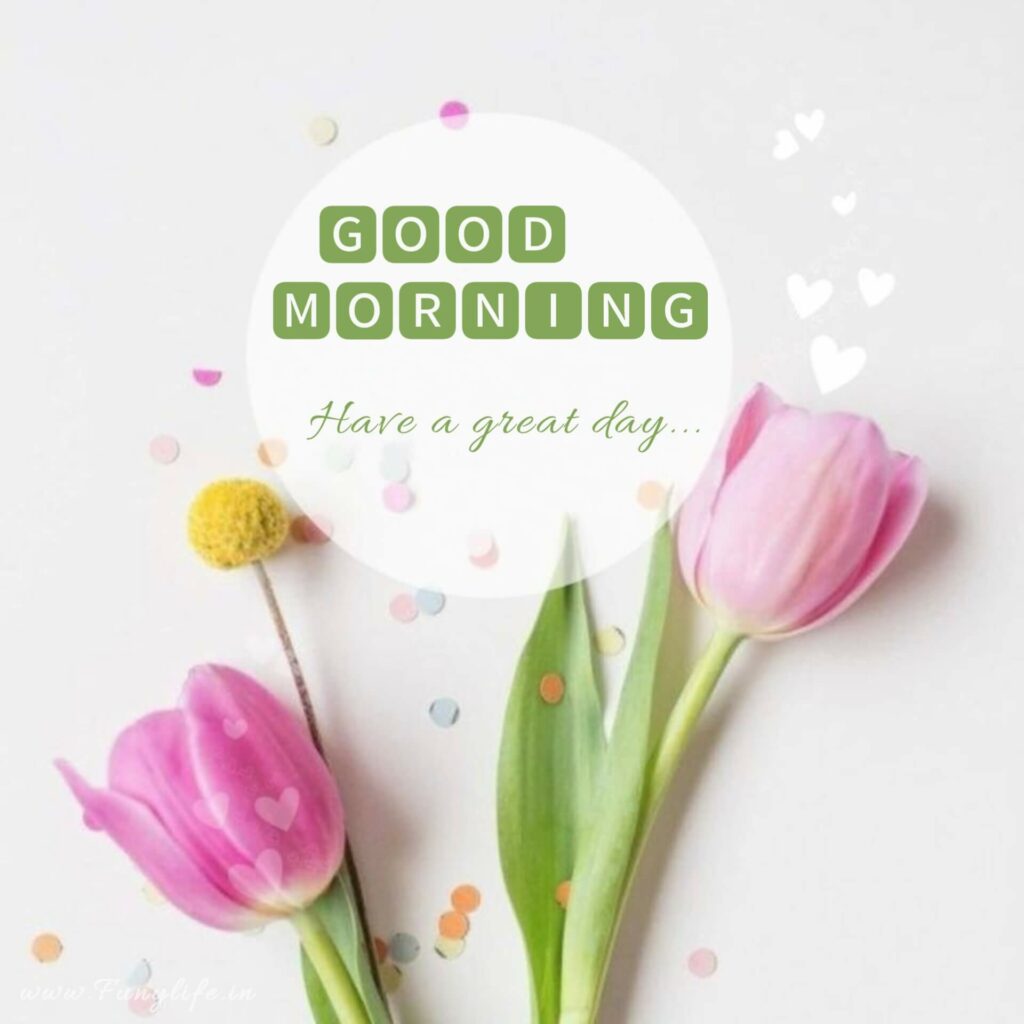 Best Good Morning Images