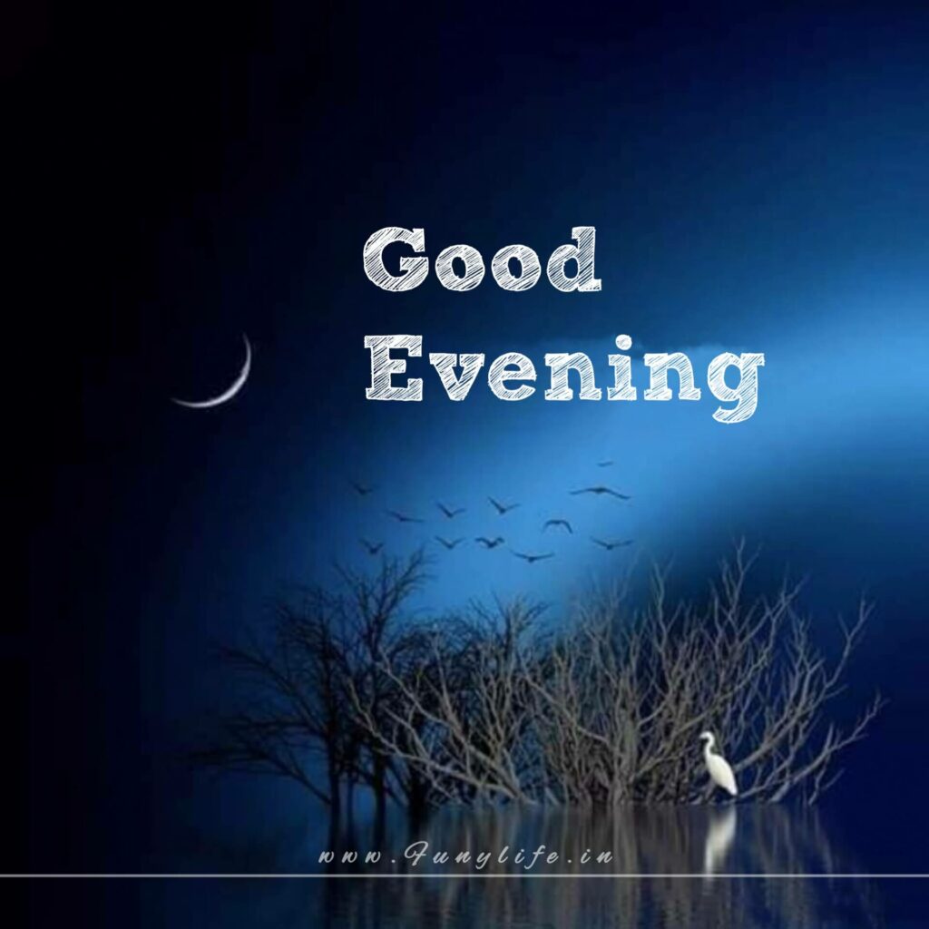 Best Good Evening Images