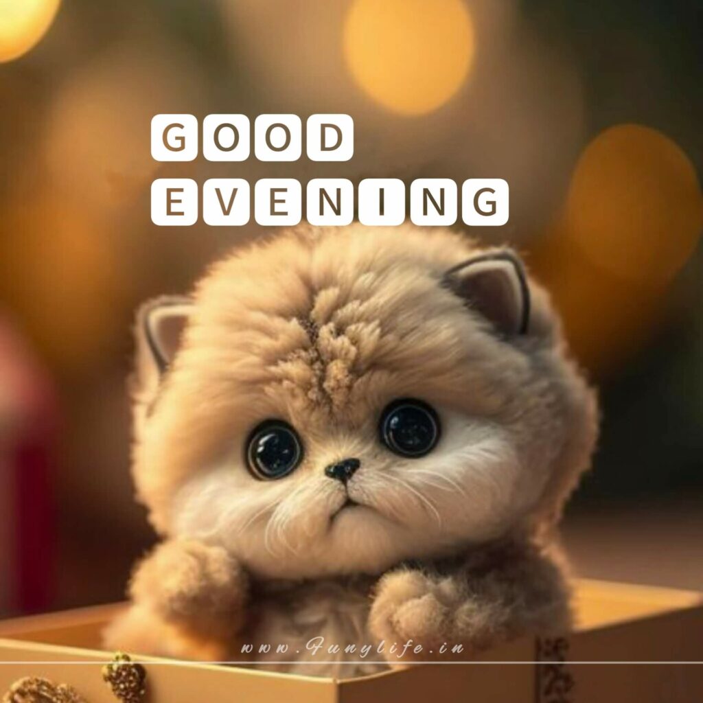Beautiful Good Evening Images